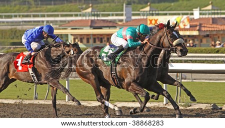 ARCADIA, CA - OCT 10: Zenyatta (#5, green blanket), under Mike Smith, charges to the lead to win the Lady\'s Secret Stakes at Santa Anita Park, Arcadia, CA, on Oc.t 10, 2009. She is undefeated with 13 wins.