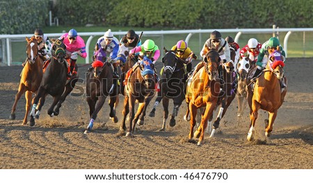 ARCADIA, CA - FEB 10: Thoroughbreds take the turn and head down the stretch in the 8th race at Santa Anita Park on Feb 10, 2010 in Arcadia, CA. Eventual winner, Hiho Geronimo, wears the blue mask.