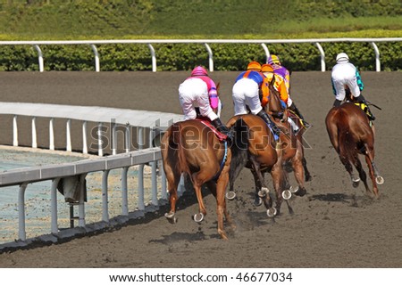 ARCADIA, CA - 13 FEB: The field for The Las Virgenes Stakes digs in for the club house turn at Santa Anita Park on Feb. 13, 2010 in Arcadia, CA.