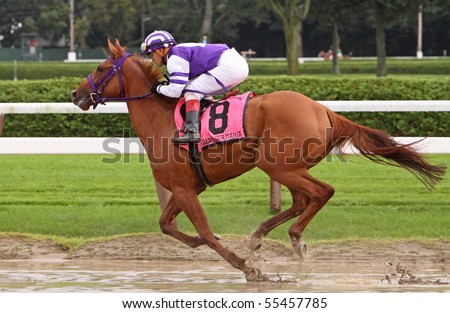 SARATOGA SPRINGS, NY - AUG 29: Jockey Javier Castellano lets Salve Germania burn off a little steam in the post parade before the pair wins The Ballston Spa at Saratoga Race Course, Aug 29, 2009.