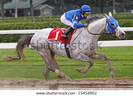 SARATOGA SPRINGS, NY - AUG 29: Vineyard Haven, Alan Garcia up, finishes 2nd in The King\'s Bishop Stakes at Saratoga Race Course on Aug 29, 2009 in Saratoga Springs, NY.