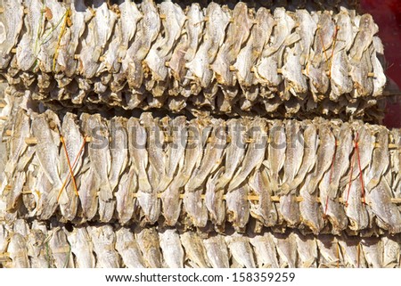 Dry small fish in the market on village county, of Thailand
