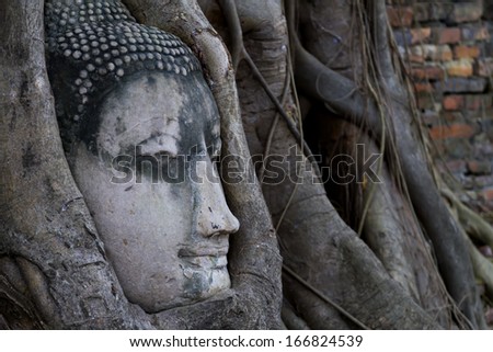 Old statue buddha head sleep in the tree roots , Ayutthaya,Thailand.