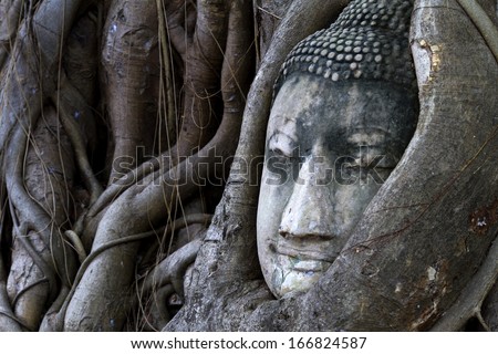 Old statue face buddha sleep in the tree roots , Ayutthaya,Thailand.