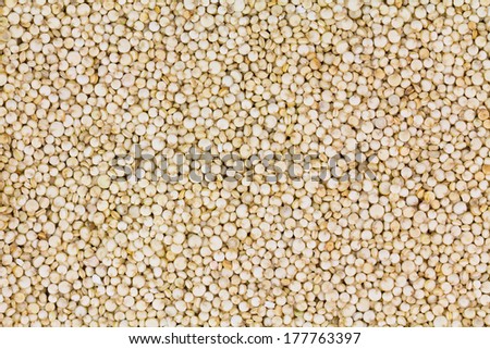Quinoa seed background close up. A gluten free dicotyledonous  pseudocereal grain.