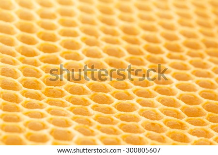 Fresh unused beeswax honeycomb cells drawn on plastic foundation.  Low angle photograph with limited focal plane.