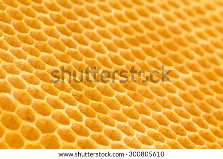 Fresh beeswax honeycomb  drawn off plastic foundation.  Low angle photograph with limited focal plane.