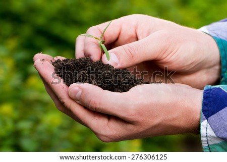 Life concept. One small green sprout with soil in male hands