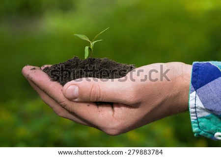 Still life concept. One small green sprout with soil in male hand