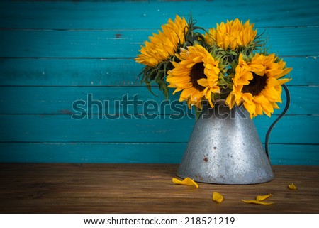 [Obrazek: stock-photo-fresh-sunflower-flowers-in-r...521219.jpg]