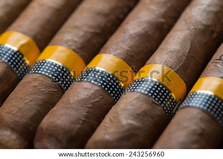 close view on cuban cigars