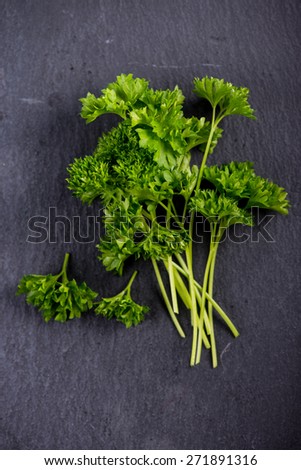 Spring garden parsley and dill on black slate  background