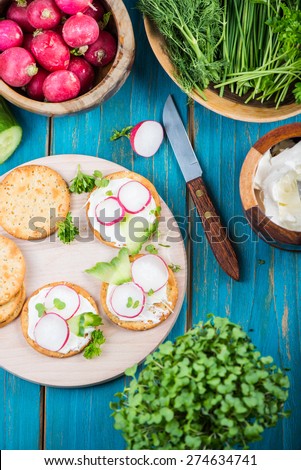 preparation of salty crackers with fresh radish and cottage cheese