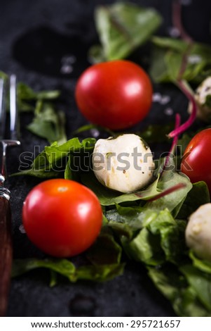 Diet salad, fresh tomato and mozzarella, clean eating