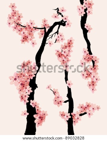 cherry blossom vector design