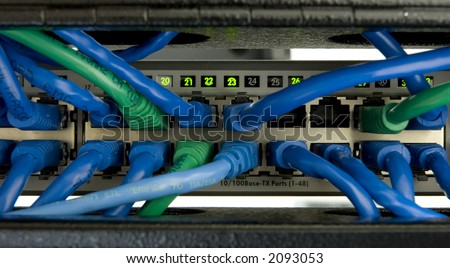 Patch cables plugged in to ethernet swicth