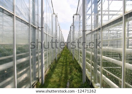 stock photo : Agricultural greenhouses in Holland