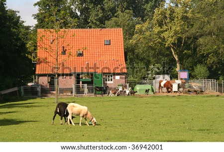 City farm with meadow and sheep,goats and a cow