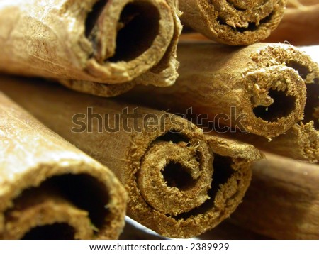 close-up view of a cinnamon sticks