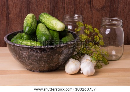 Pickles or cucumbers with garlic and dill ready to be processed