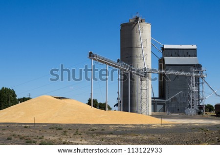 A grain storage facility with piles of grain on the ground