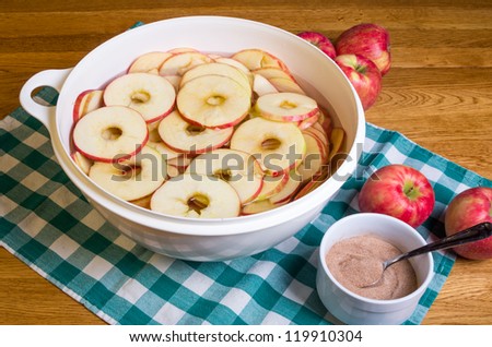 Bowl of sliced and cored apple rings ready for drying with cinnamon
