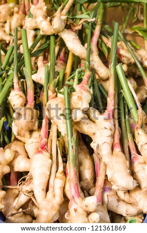 Fresh ginger root at the farmers market