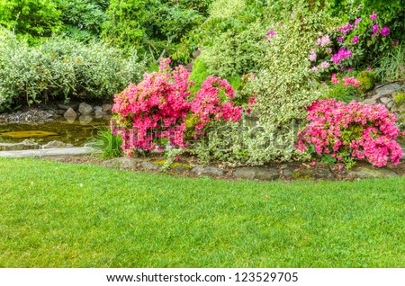 A garden scene with blooming azalea bushes and a pool
