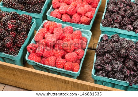 Wooden box of fresh Marionberries Red Raspberries and Black Raspberries