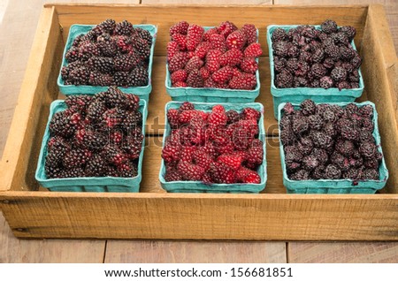 Wooden box of fresh Marionberries Tayberries and Black Raspberries