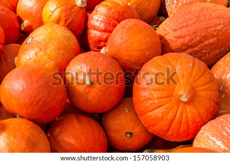 Orange winter squash on display at the farmers market