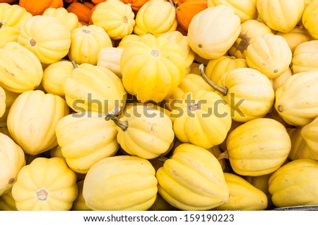 Yellow acorn squash on display at the farmers market