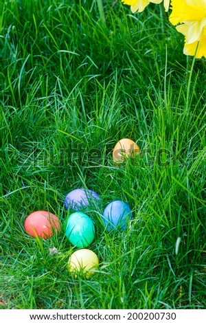 Colorful Easter eggs hidden in a grassy lawn