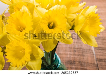 Bouquet of fresh yellow daffodil flowers in a blue mason jar