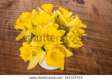Fresh picked Daffodil flowers in a white metal can