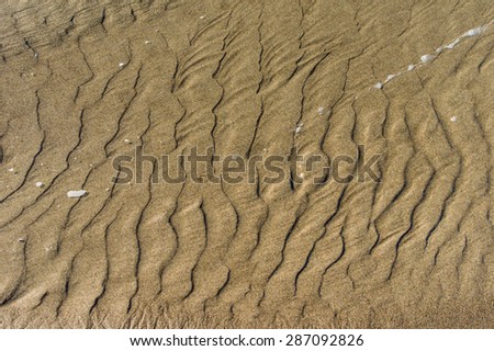 Rippled sand pattern caused by moving water