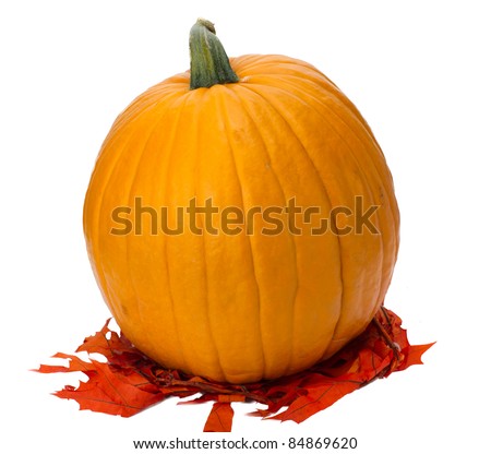 Colorful pumpkin and fall leaves isolated on white