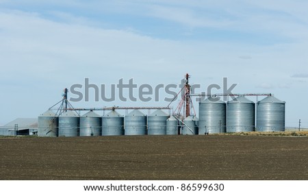 Steel grain storage silos and freshly harvested field