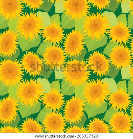 Seamless pattern with sunflowers. Summer season, nature background.