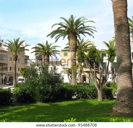 Town square with palm trees. Majorca island in Balearic Spain