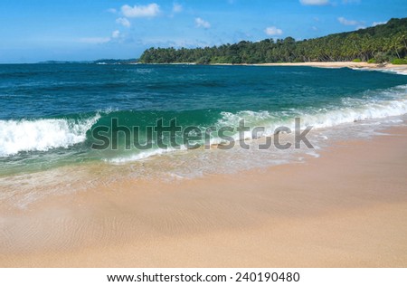 Green wave on sandy paradise beach with coconut palms, golden sand and emerald green water on the edge of Indian Ocean, Southern Province, Sri Lanka, Asia.