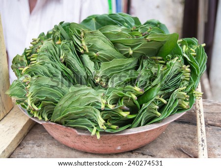 Betel leaves. The chew of betel is mostly for consumption after meals, and consists of betel leaves, arecanut, cloves, nutmeg, cardamons, which give a pleasant smell when chewed. Sri Lanka, Asia.