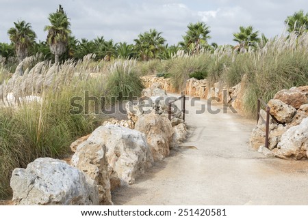 BOTANICACTUS, MAJORCA, SPAIN - OCTOBER 26, 2013: Gravel road in Mediterranean landscape with reeds, rocks and palm trees in Mallorca, Balearic islands, Spain.