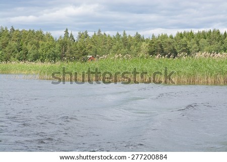 Lake landscape with boat wake and reeds, Varmland, Sweden.