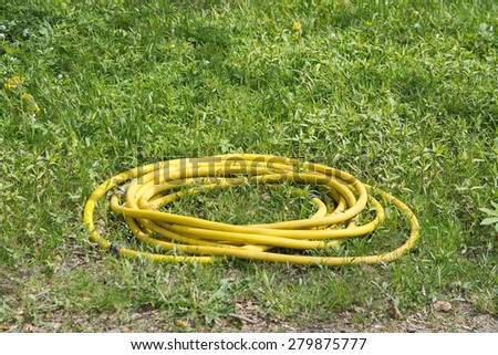 Yellow garden hose rolled on green grass.