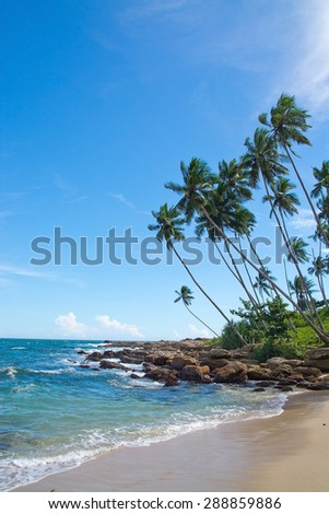 Coconut palm trees and sandy beach in remote location, Southern Province, Sri Lanka, Asia.