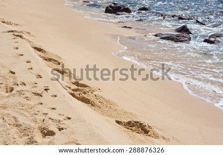 Foot tracks in deep soft sand in Sri Lanka, Asia.