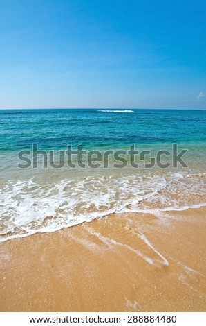 Green wave whith white seafoam closeup on sandy paradise beach, Sri Lanka, Asia.