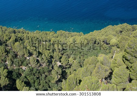 Coastal green vegetation and turquoise Mediterranean water far below in a high angle view in west Mallorca, Balearic islands, Spain in July.