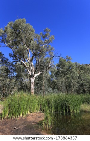 Ellery Creek Bighole in West Mac Donnell Range, Australia